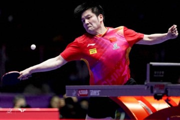 樊振东转战德甲,这一决定让部分在德甲打球的台北球员惊掉下巴