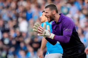 德赫亚:我很高兴能加盟佛罗伦萨,现在我已经适应了意甲的节奏