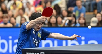 樊振东德甲赛场“杀疯”了,两连败后连赢4场!将迎德甲最强对手